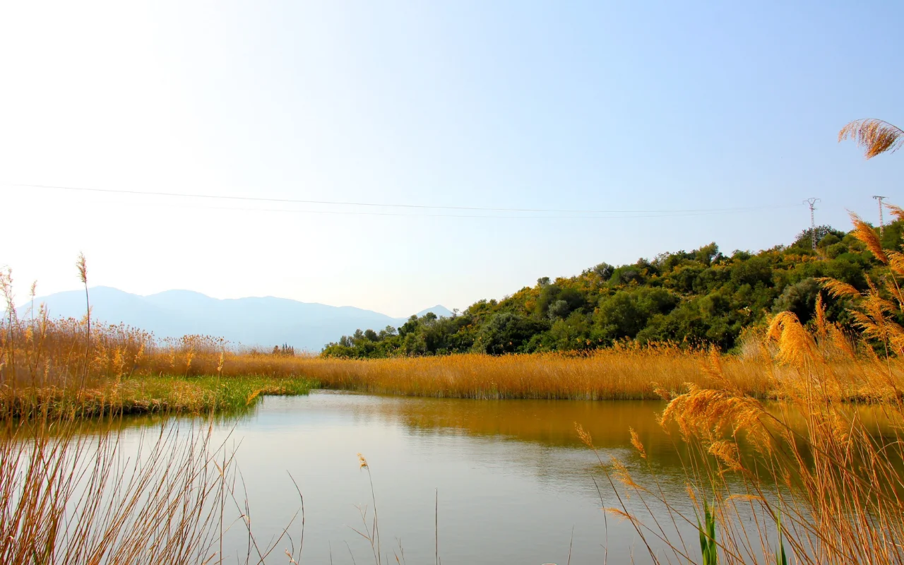 Parque natural de la Marjal de Oliva-Pego